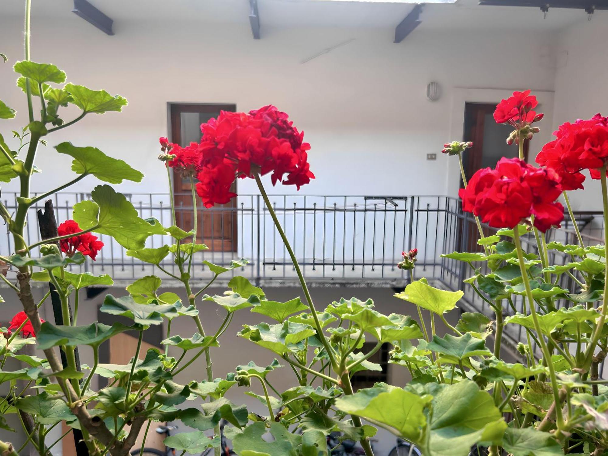 Gorizia Holiday Inn Rastello Suite Luaran gambar